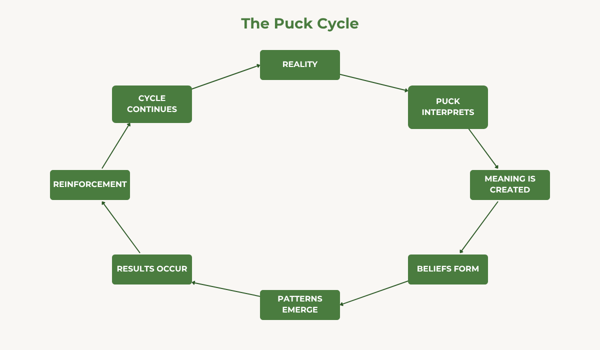 The Puck cycle: reality, Puck interprets, meaning, beliefs, patterns, results, reinforcement, the cycle continues